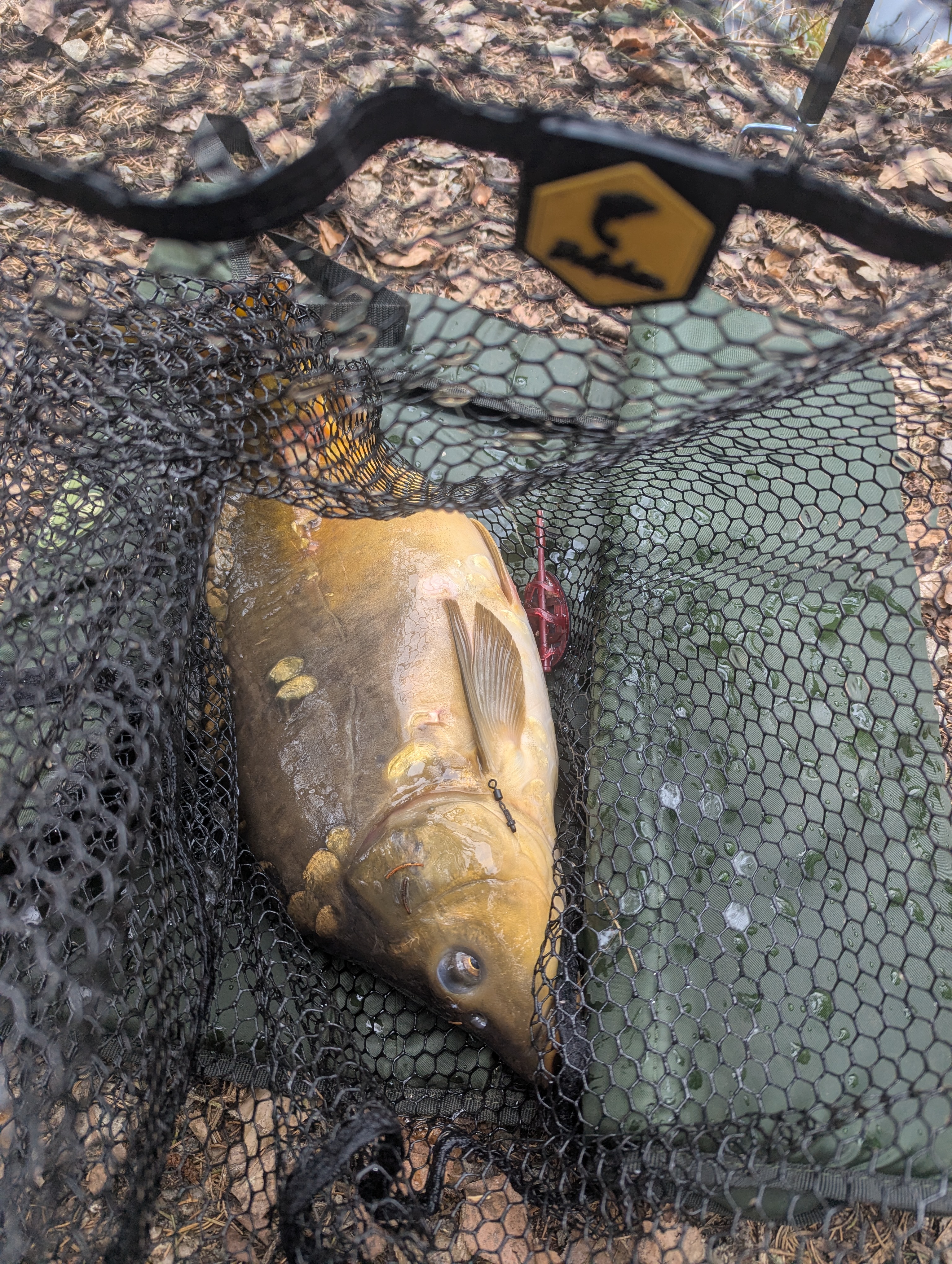 Jak vrstvit method feeder: tajná technika pro více záběrů