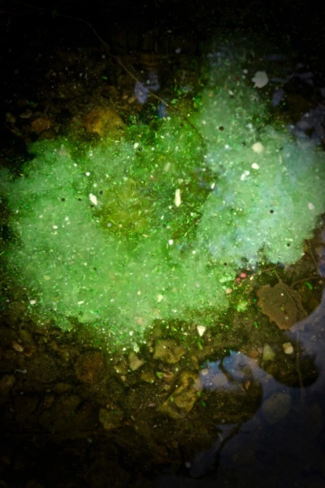 LK Baits IQ Method Mix Amur 1,5kg