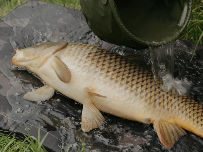 Podložka pod ryby Delphin CarpMAT BANX Camo 110x60 cm